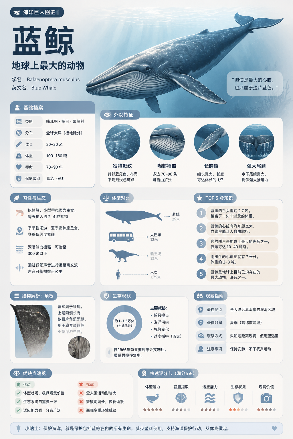 Encyclopedia Style Infographic Generator - 墨图 AI 生成
