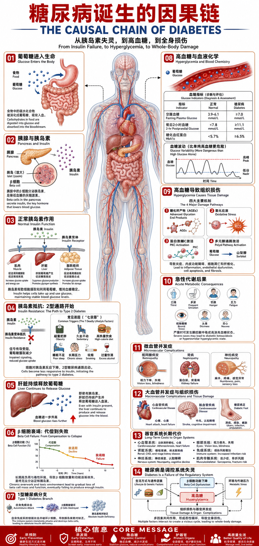 Medical Infographic on Diabetes Progression - 墨图 AI 生成