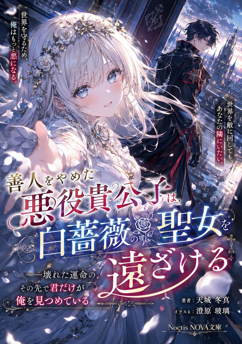 Anime Light Novel Cover Illustration - AI 生成效果图
